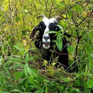 Meet your Posher, Jb